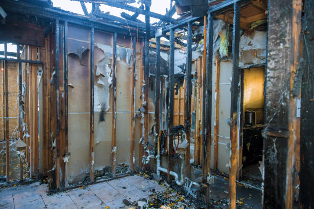 Professional Smoke Damage Removal technician working in Seymour, TX